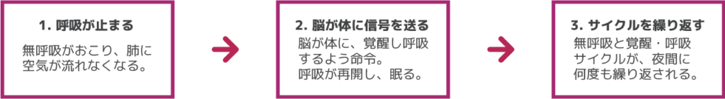 img-info-sleep-apnea-whats-happening@2x-1-1024x141